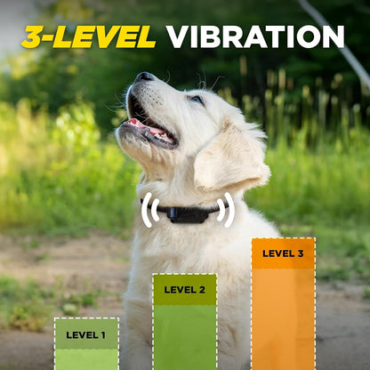 Dogtra Iq Vibe Vibration Only No Bark Collar: 4X Stronger HPP Vibration, IPX9K Waterproof, Precision Sensor, Rechargeable9