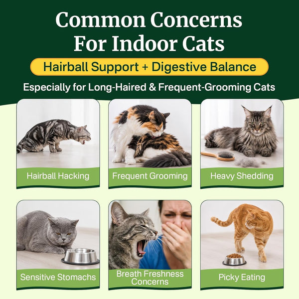 Cat Grass Treats Chews, Cat Treats for Indoor Cats, 500 Hairball Treatment for Cats, Hairball Control, Feline Grass Chews with Fish Oil, Taurine & B Vitamins for Skin & Coat, Digestion & Dental Care6