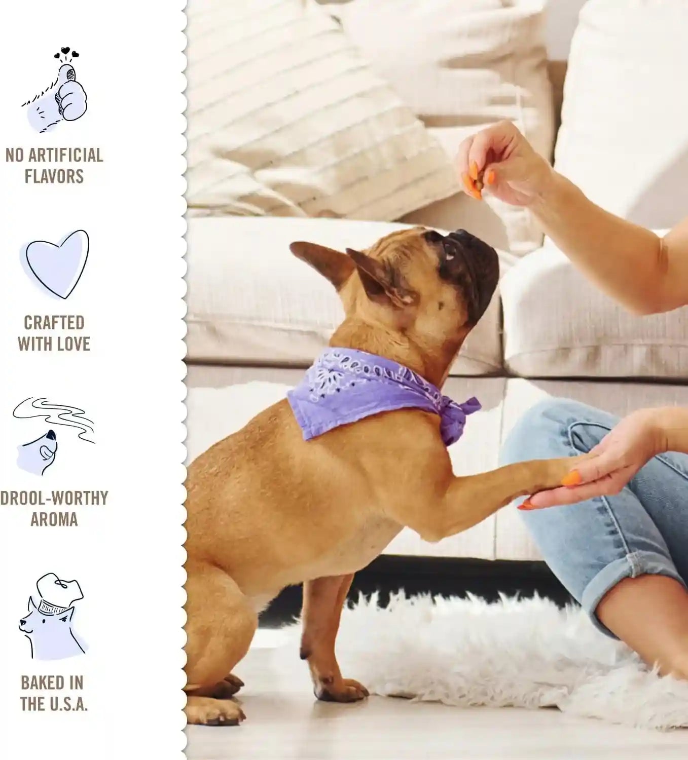 three-dog-bakery-mini-carob-chip-cookie-crunchy-dog-treats-made-with-real-ingredients-bite-sized-crunchy-treats-for-dogs-8-oz-bag