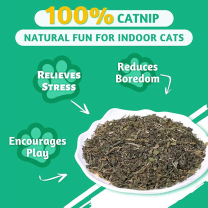 Wellix Fresh Dried Catnip for Cats, Used as Cat Nip Treats, 1.06Oz | Natural Dried Catnip Leaves, Flowers & Stems - Fresh Aroma, Non-Addtictive3