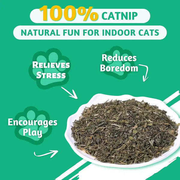 Wellix Fresh Dried Catnip for Cats, Used as Cat Nip Treats, 1.06Oz | Natural Dried Catnip Leaves, Flowers & Stems - Fresh Aroma, Non-Addtictive3