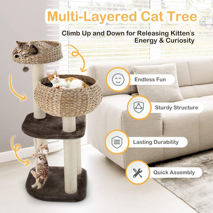 PETSITE 41 Inch Modern Cat Tree for Indoor Cats, Multi-Level Cat Tower with Scratching Posts, Hand-Made Wicker Cat Condo & Top Perch, Dangling Ball, Sisal Rope, Cute Cat Tree for Indoor Cats4