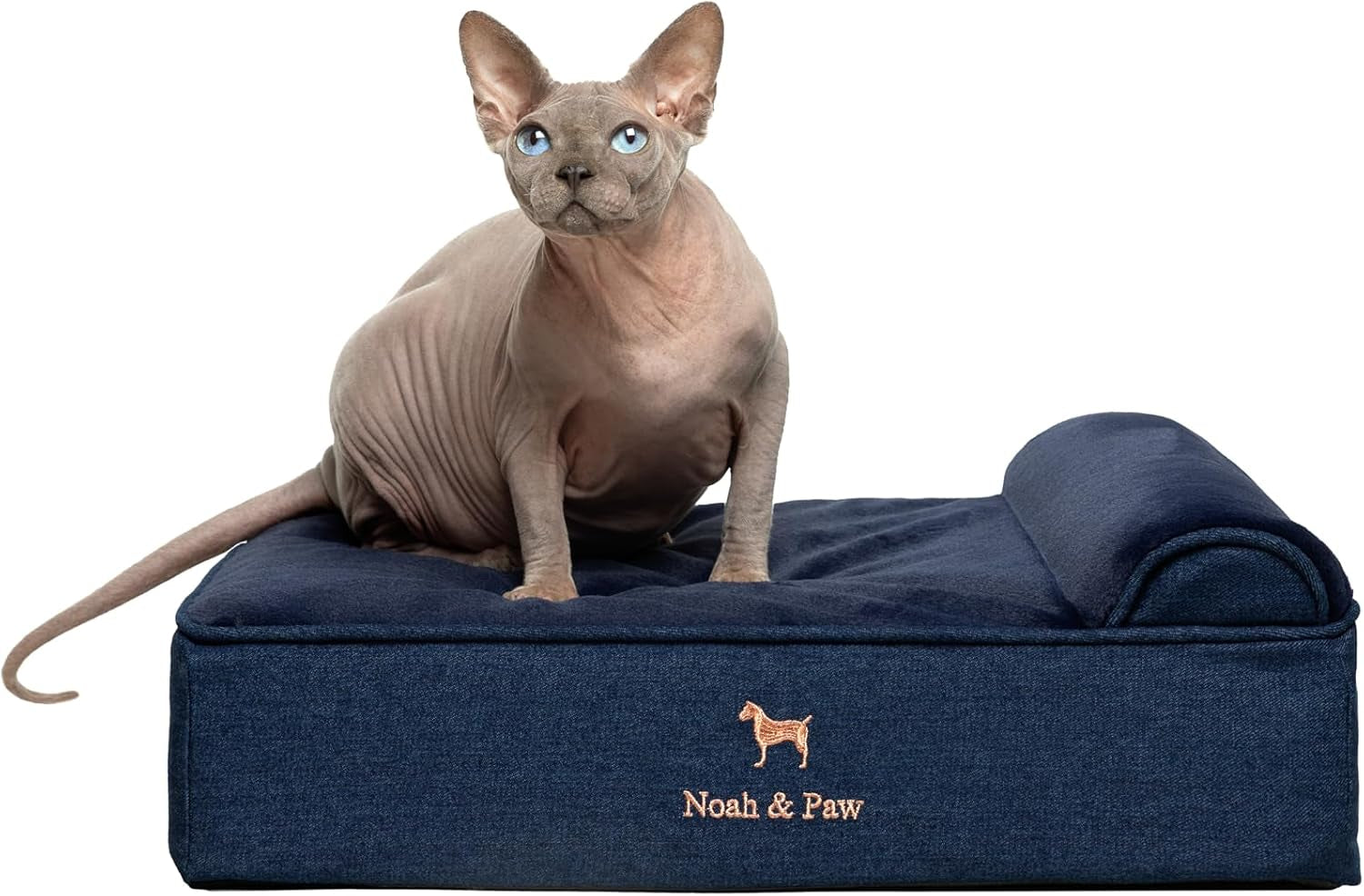 noah-paw-large-dog-bed-35x25x8-7-inch-orthopedic-dog-beds-eggshell-memory-foam-infused-with-cooling-gel-water-resistant-machine-washable-includes-inner-cover-velvet-collection