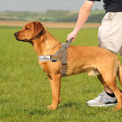 Annchwool No Pull Dog Harness with Soft Padded Handle,Reflective Strip Escape Proof and Quick Fit to Adjust Dog Harness,Easy for Training Walking for Small & Medium and Large Dogs(Brown,L)5