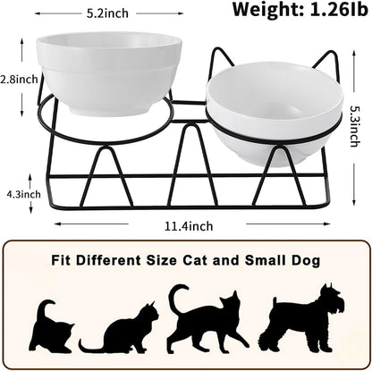 Elevated Cat Food Bowl,Ceramic Raised Water Bowl for Indoor Cats, 15°Tilted Metal Stand anti Vomiting and Protect Spines,Whisker Fatigue Feeding Dishes,Non-Slip and Dishwasher Safe5