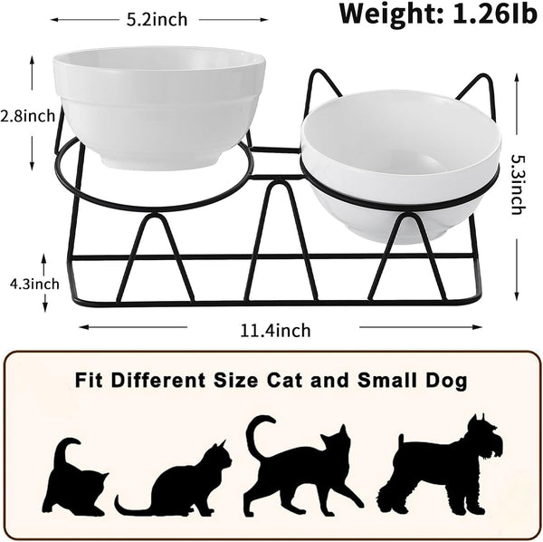Elevated Cat Food Bowl,Ceramic Raised Water Bowl for Indoor Cats, 15°Tilted Metal Stand anti Vomiting and Protect Spines,Whisker Fatigue Feeding Dishes,Non-Slip and Dishwasher Safe5
