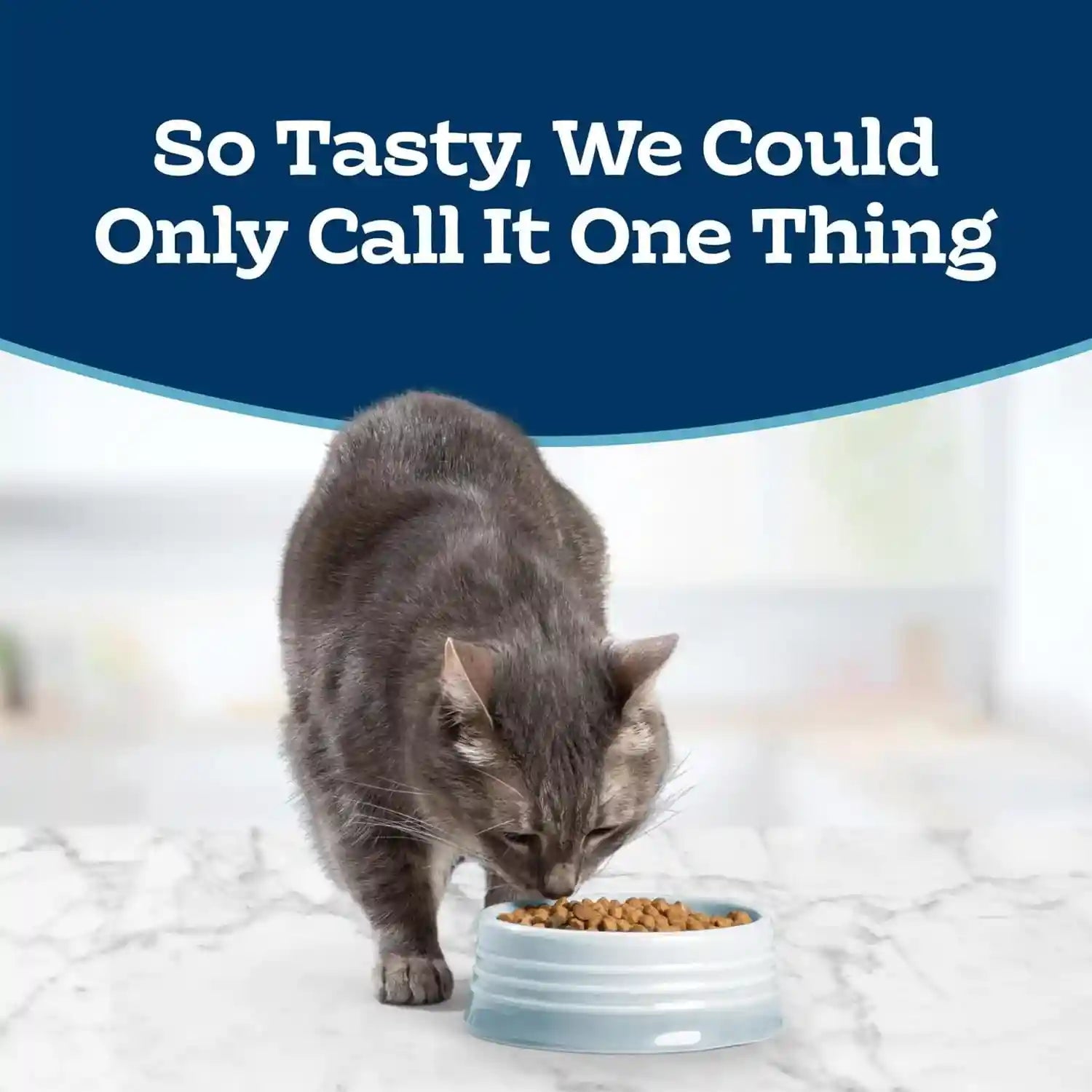 blue-buffalo-tastefuls-chicken-brown-rice-recipe-adult-dry-cat-food-weight-control-real-chicken-first-deliciously-healthy-natural-cat-food-supports-digestive-care-and-coat-health-15-lbs