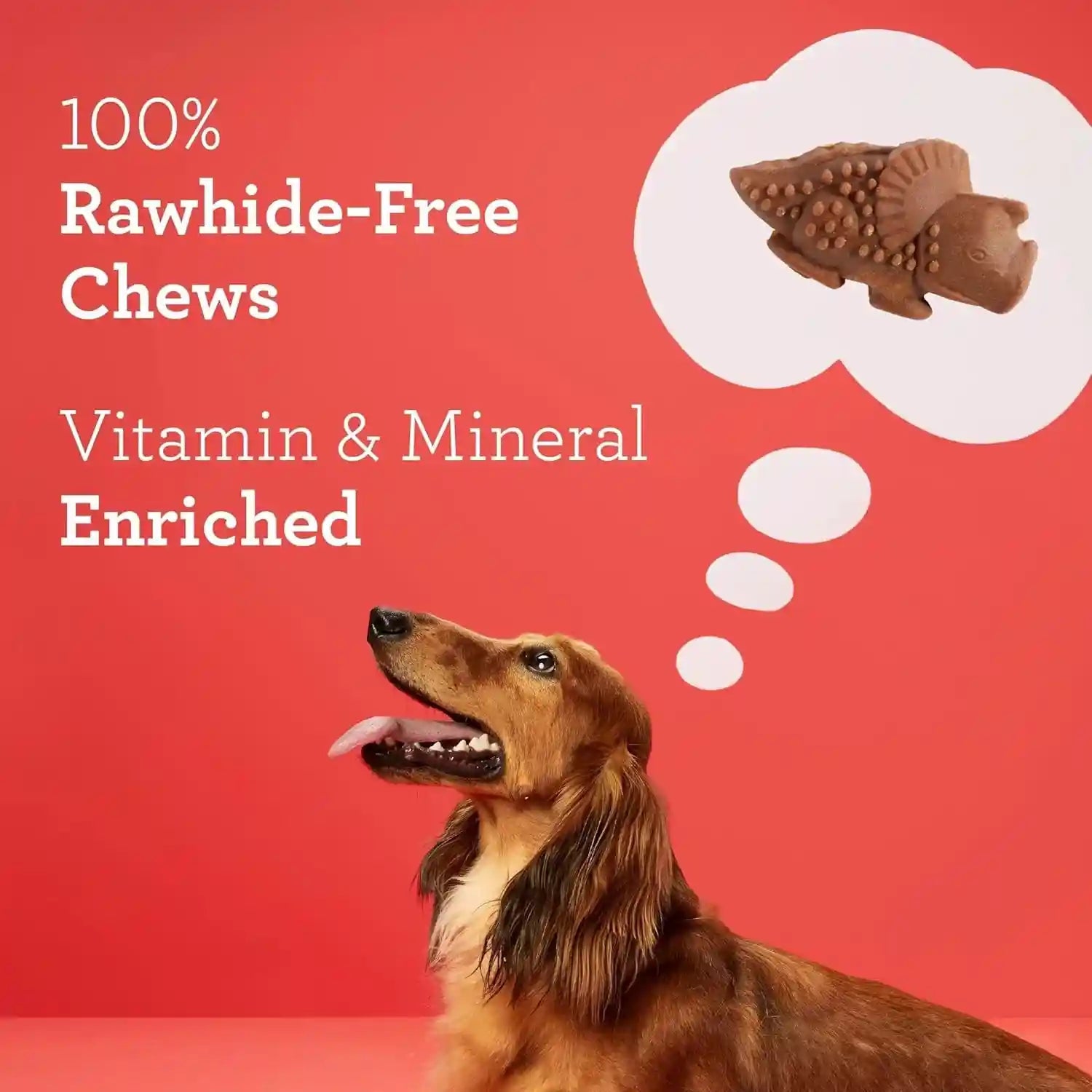 dreambone-chicken-dinochews-dog-treats-daily-rawhide-free-chew-digests-safely-and-completely-with-real-protein-chicken-and-veggies-14-count