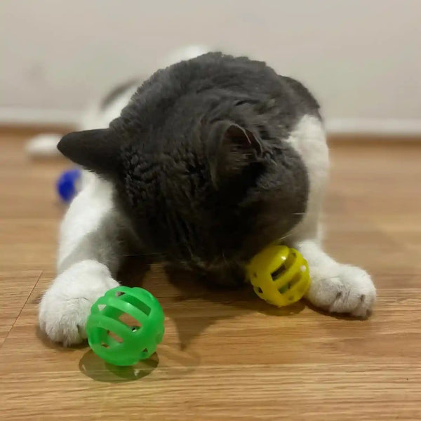 SPOT Slotted Balls Cat Toy - Interactive Cat Toys for Indoor Cats to Chase, Hunt and Stimulate - Jingle Bell inside for Sound When Batted around - Safe and Non-Toxic - 1.5" Assorted 4-Pack9