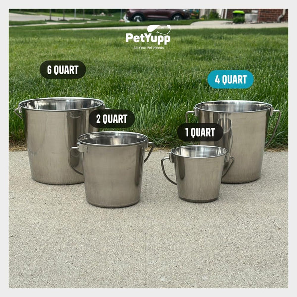 1 Gallon Heavy Duty Stainless Steel Bucket - Rust-Resistant Metal Bucket for Feeding & Watering Pets, Livestock & Cleaning - Perfect for Crates, Kennels, Cages & Hang on Fences - 4 Quart6