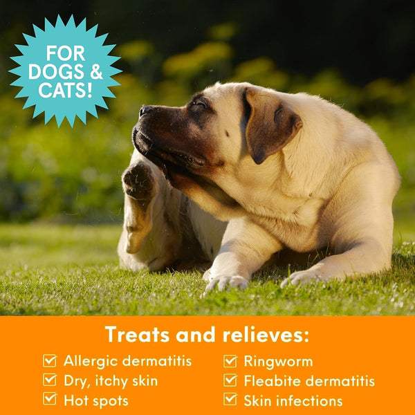 Nootie Medicated Pet Shampoo, Chlorhexidine Dog Shampoo for Itch Relief, Sold in over 5,000 Vet Clinics & Pet Stores Worldwide- 16Oz2