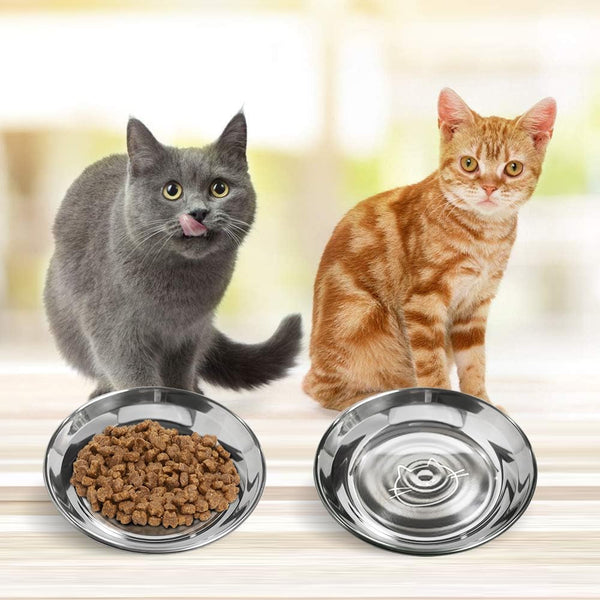 Stainless Steel Cat Bowls Food Dishes for Indoor Cats Cats Shallow Whisker Friendly 6.4Inches Cat Food Water Dishes Bowls Whisker Fatigue Relief Dishwasher Safe 2Pcs6