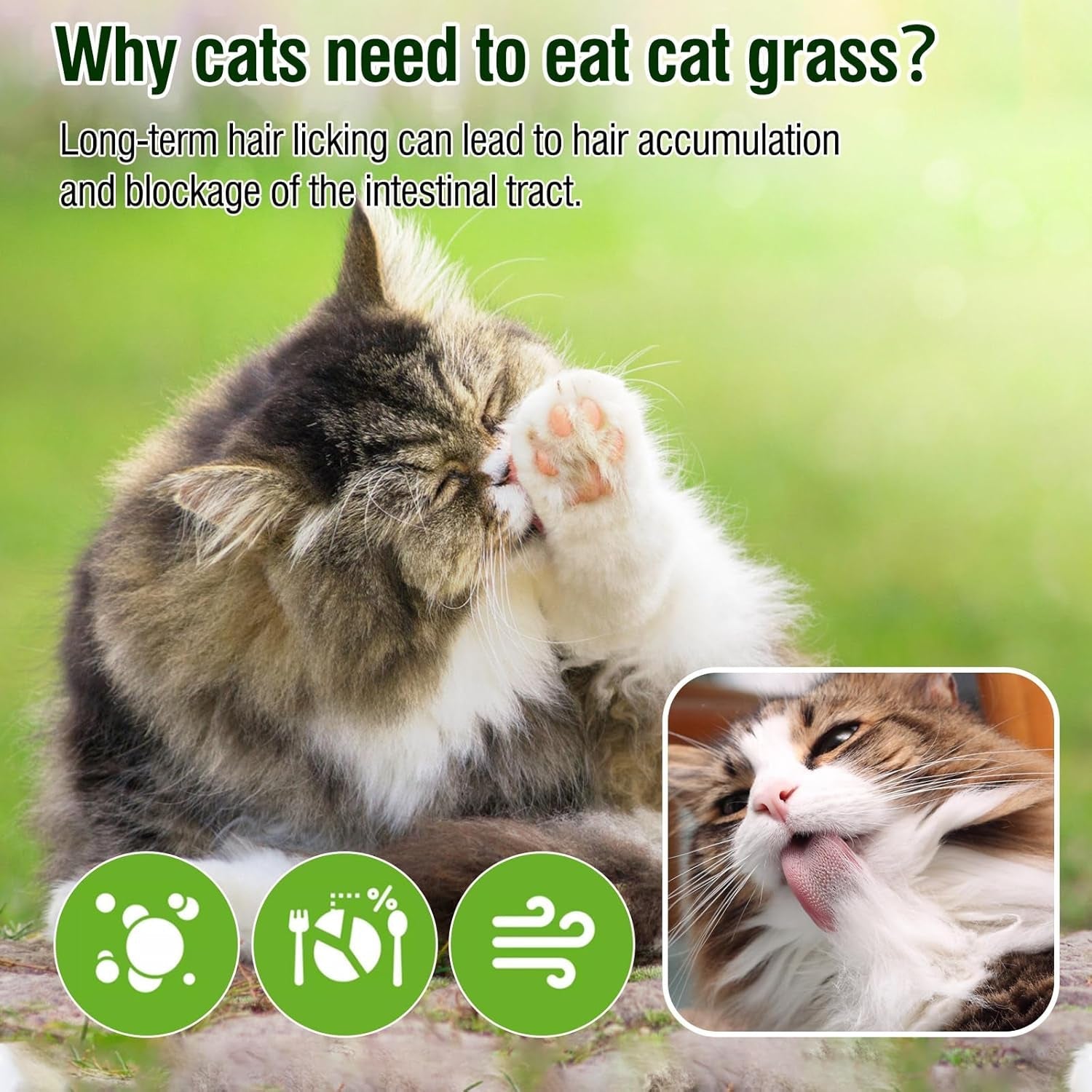 100g-3-52oz-cat-grass-treats-cat-grass-teething-stick-for-hairball-remove-and-teeth-cleaning-edible-cats-grass-stick-snack
