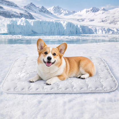 Luciphia Dog Cooling Mat, Q-MAX>0.5 Non-Slip Self-Cooling Pad for Pets | Elastic Support, Joint Protection; Q-MAX>0.5 Instant Cooling Needs No Power; Non-Slip Washable Dog Bed; Light Blue 20X3014