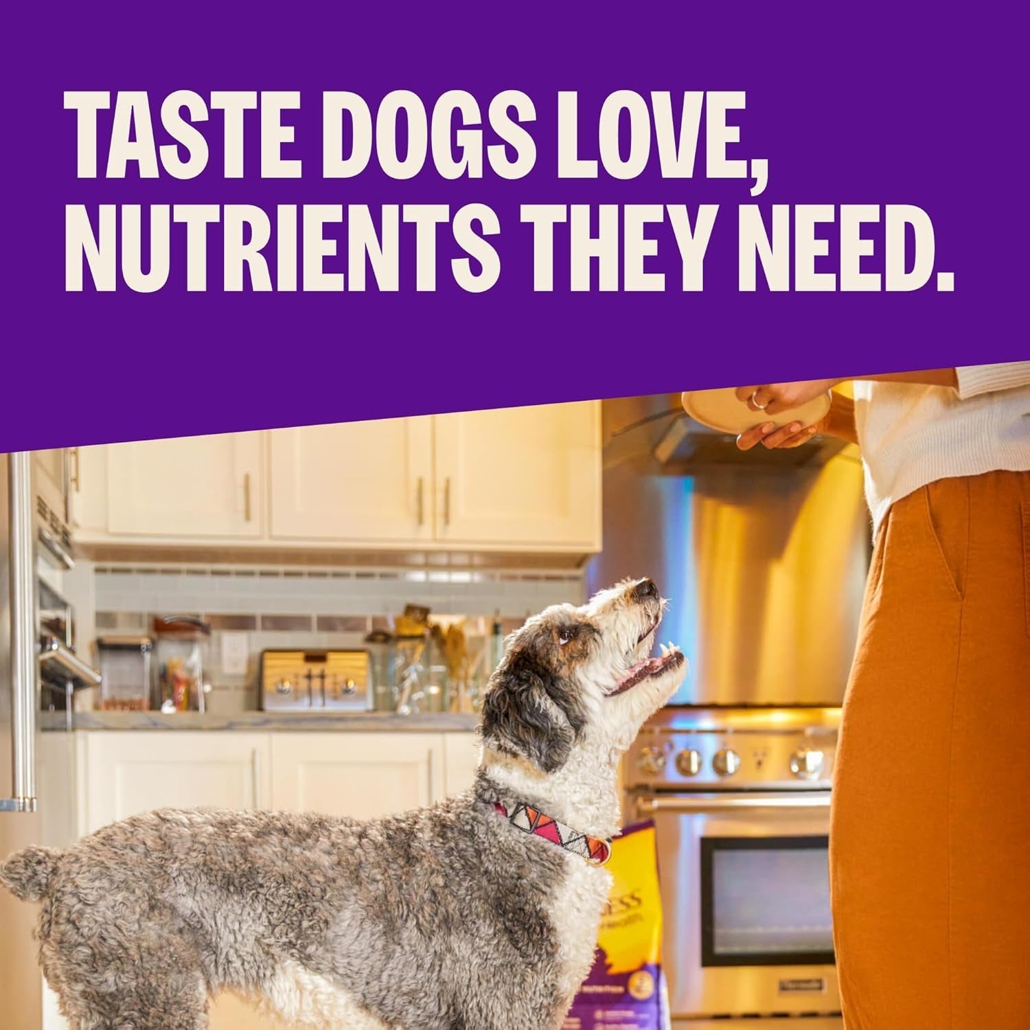 wellness-complete-health-adult-dry-dog-food-wholesome-grain-kibble-natural-chicken-and-oatmeal-recipe-30-lb-bag