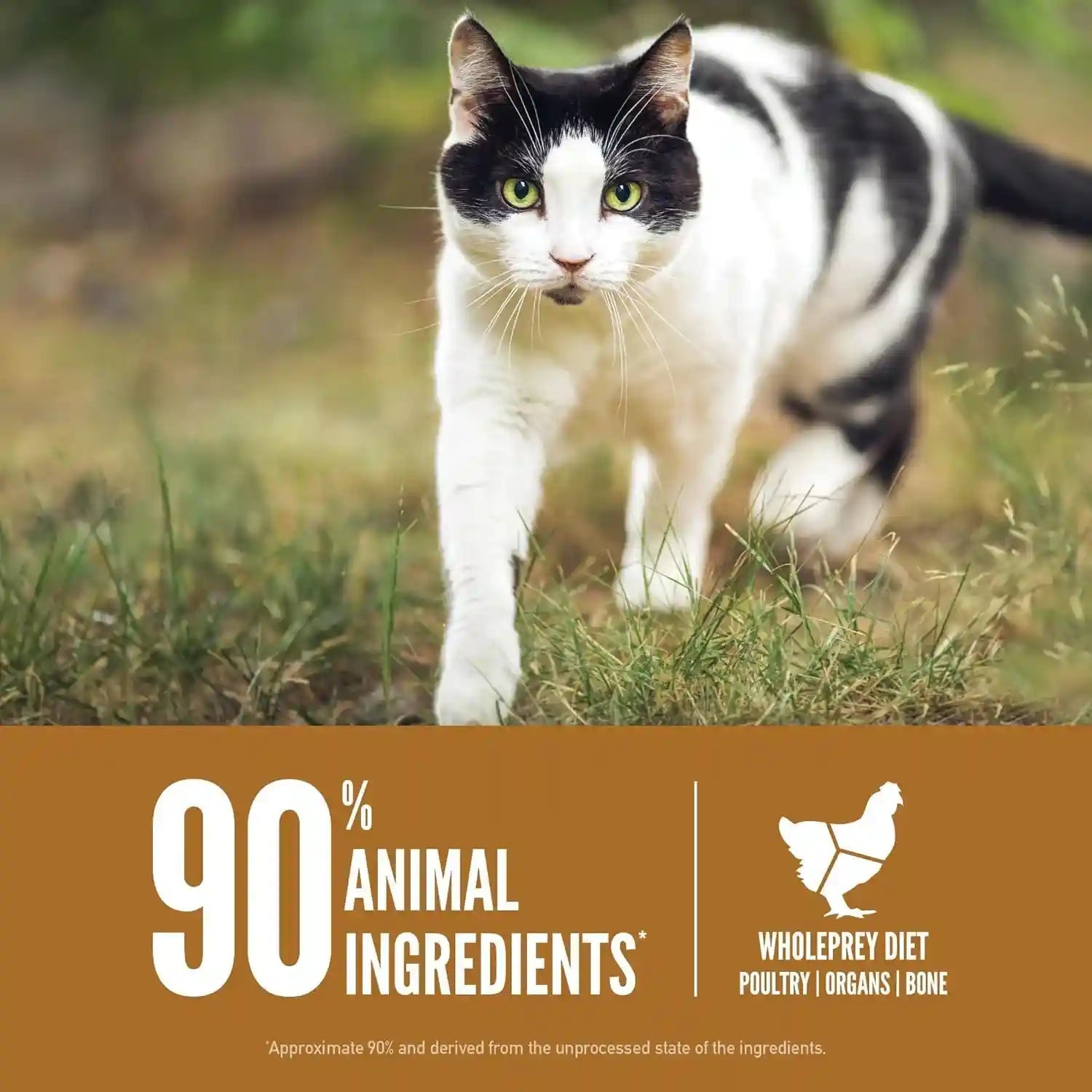 orijen-grain-free-wholeprey-dry-cat-food-original-recipe-4lb-bag-90-animal-ingredients-freeze-dried-fresh-or-raw-ingredients-high-protein-heart-health-free-run-poultry