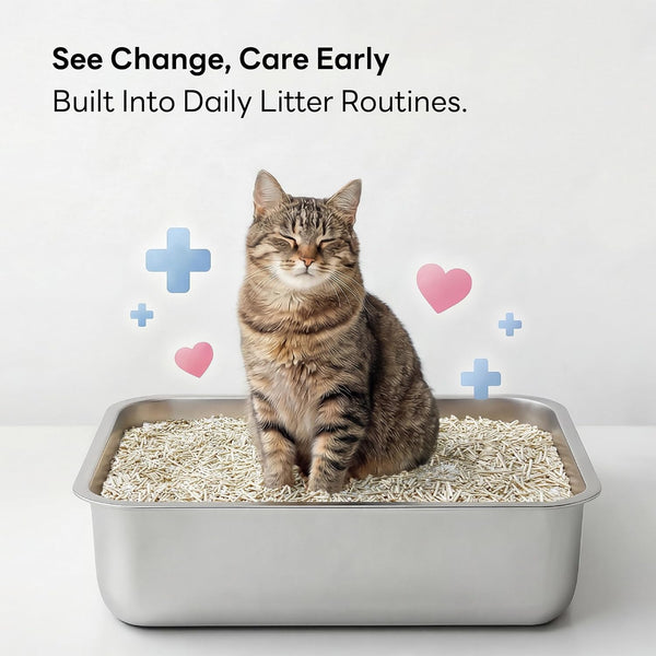 Smart Health Monitoring Cat Litter – Color-Changing, Fast Clumping, Odor Control, Low Dust (10Lb*3Pack)5