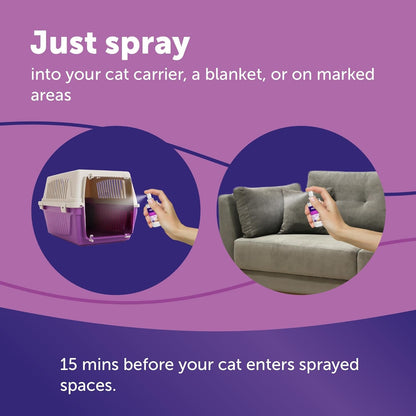 FELIWAY Classic Cat Calming Spray, 60Ml | Comforts Cats at Home and on the Go and Helps to Calm during Travel7