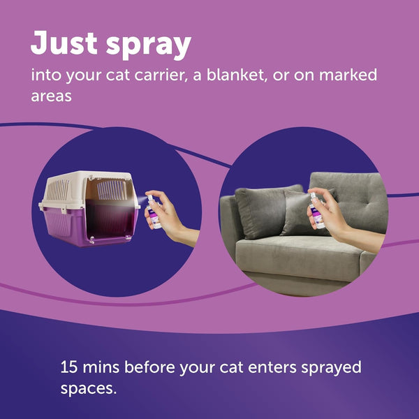FELIWAY Classic Cat Calming Spray, 60Ml | Comforts Cats at Home and on the Go and Helps to Calm during Travel7