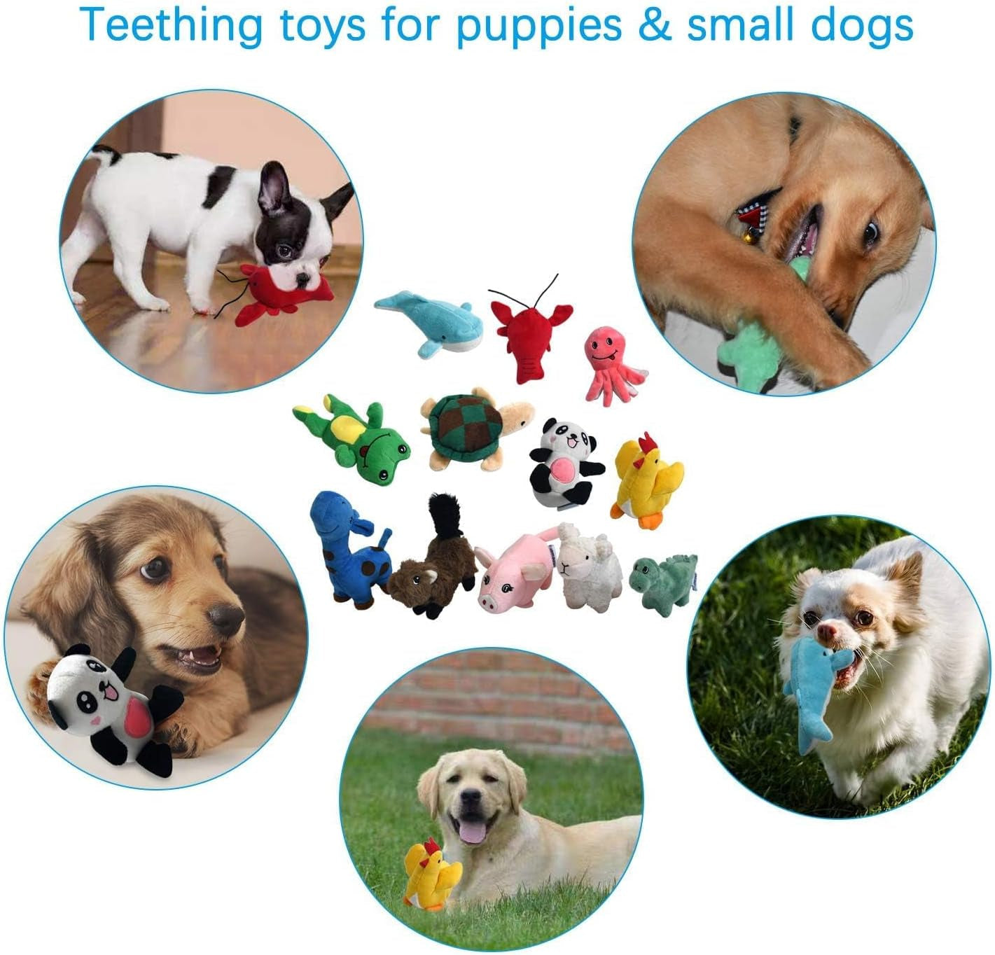 legend-sandy-squeaky-plush-dog-toy-pack-for-puppy-small-stuffed-puppy-chew-toys-12-dog-toys-bulk-with-squeakers-cute-soft-pet-toy-for-small-medium-size-dogs