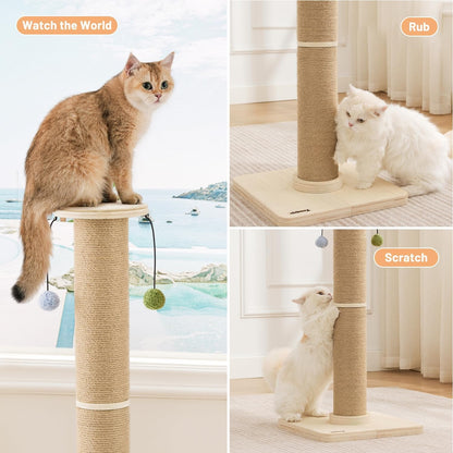 ZOMISIA 35'' Tall Cat Scratching Post for Indoor Cats Adults | 4.7'' Large Scratch Post, Thicken Wooden Base, Sisal Scratcher Top & Dangling Balls, Super Sturdy7