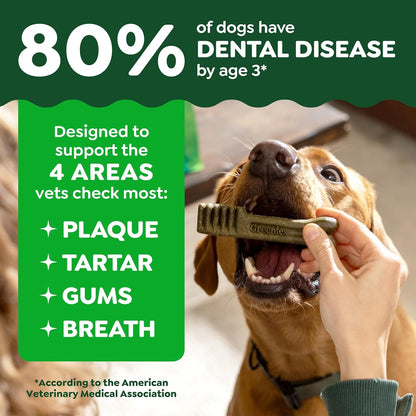 Greenies Puppy Regular Natural Dental Dog Treats, Original Flavor, 12 Count | Veterinarian-Recommended, Natural Ingredients, Cleans Teeth & Freshens Breath, for Puppies 25-50 Lbs, 6 Oz. Pack4