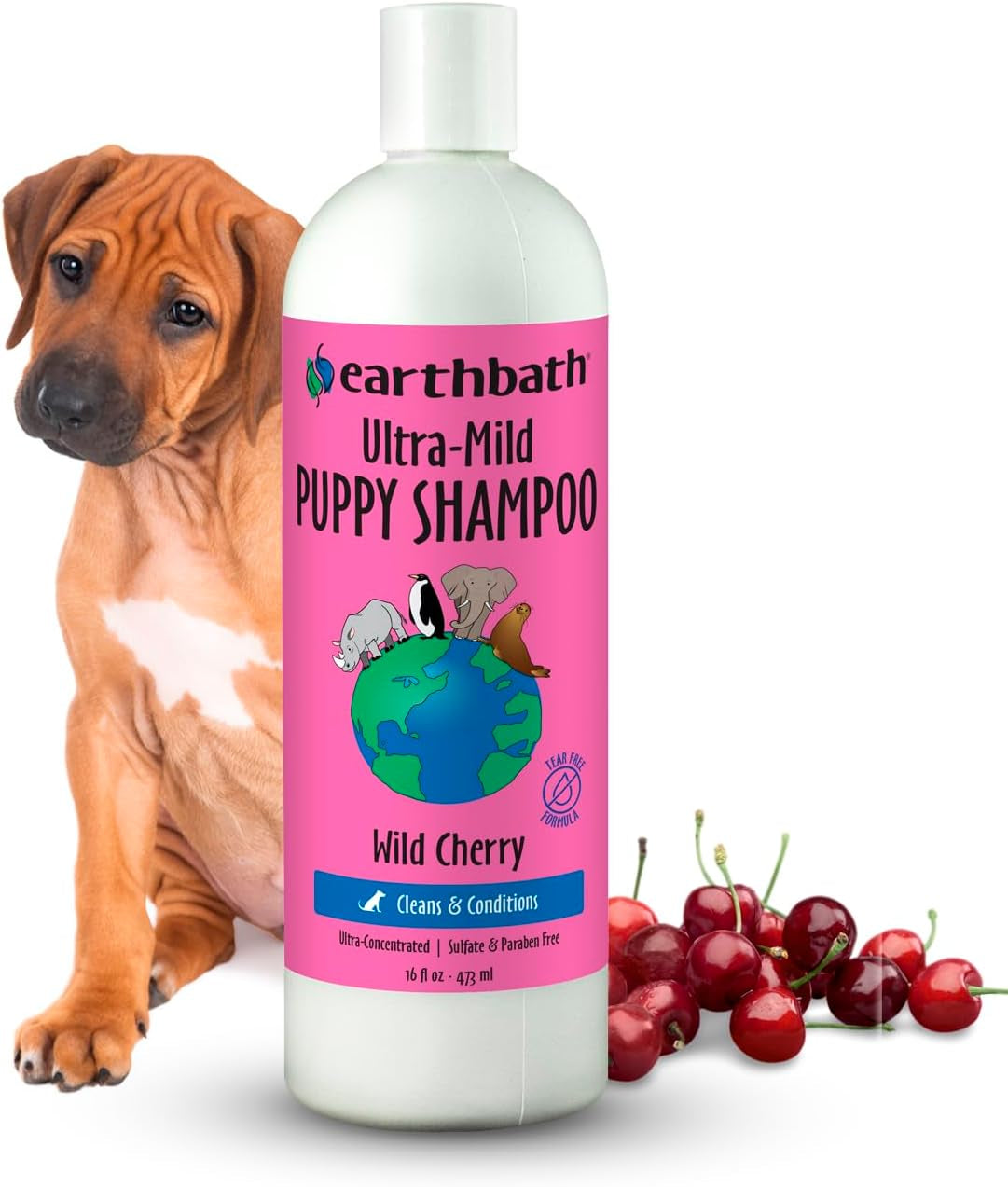 earthbath-ultra-mild-wild-cherry-puppy-shampoo-made-in-usa-16-oz-1-pack-extra-gentle-tearless-dog-shampoo-deodorizing-dog-wash-cruelty-free-puppy-supplies