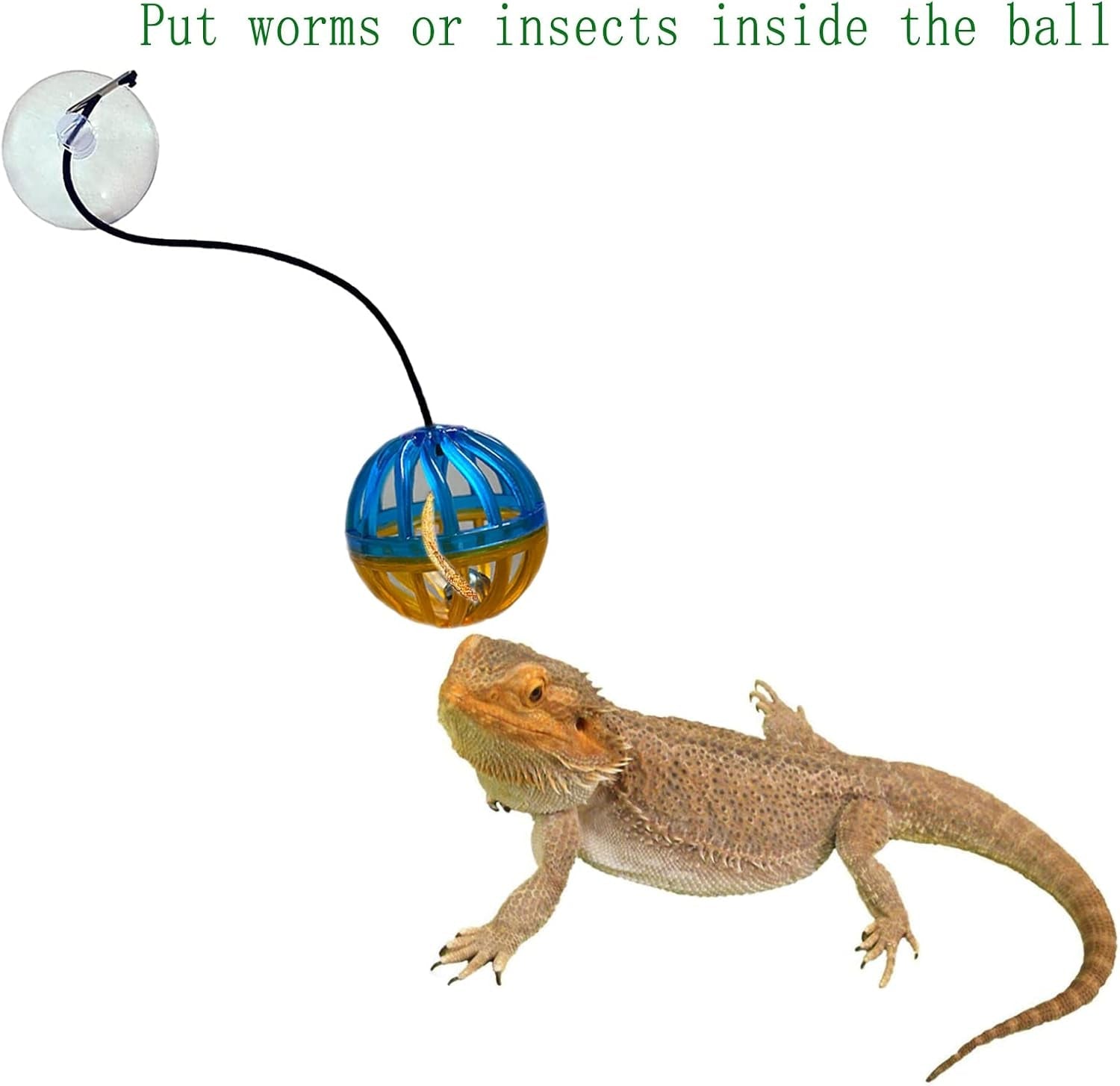 6-pack-bearded-dragon-toys-accessories-bearded-dragon-toy-balls-bell-fit-for-lizard-small-reptile-habitat-terrarium-tank