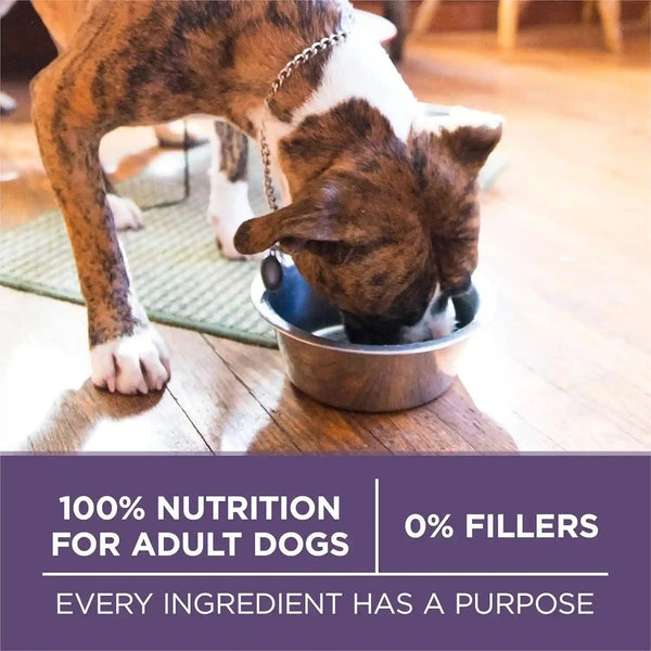 Purina ONE High Protein Dry Senior Dog Food plus Vibrant Maturity Adult 7 plus Formula - 8 Lb. Bag8