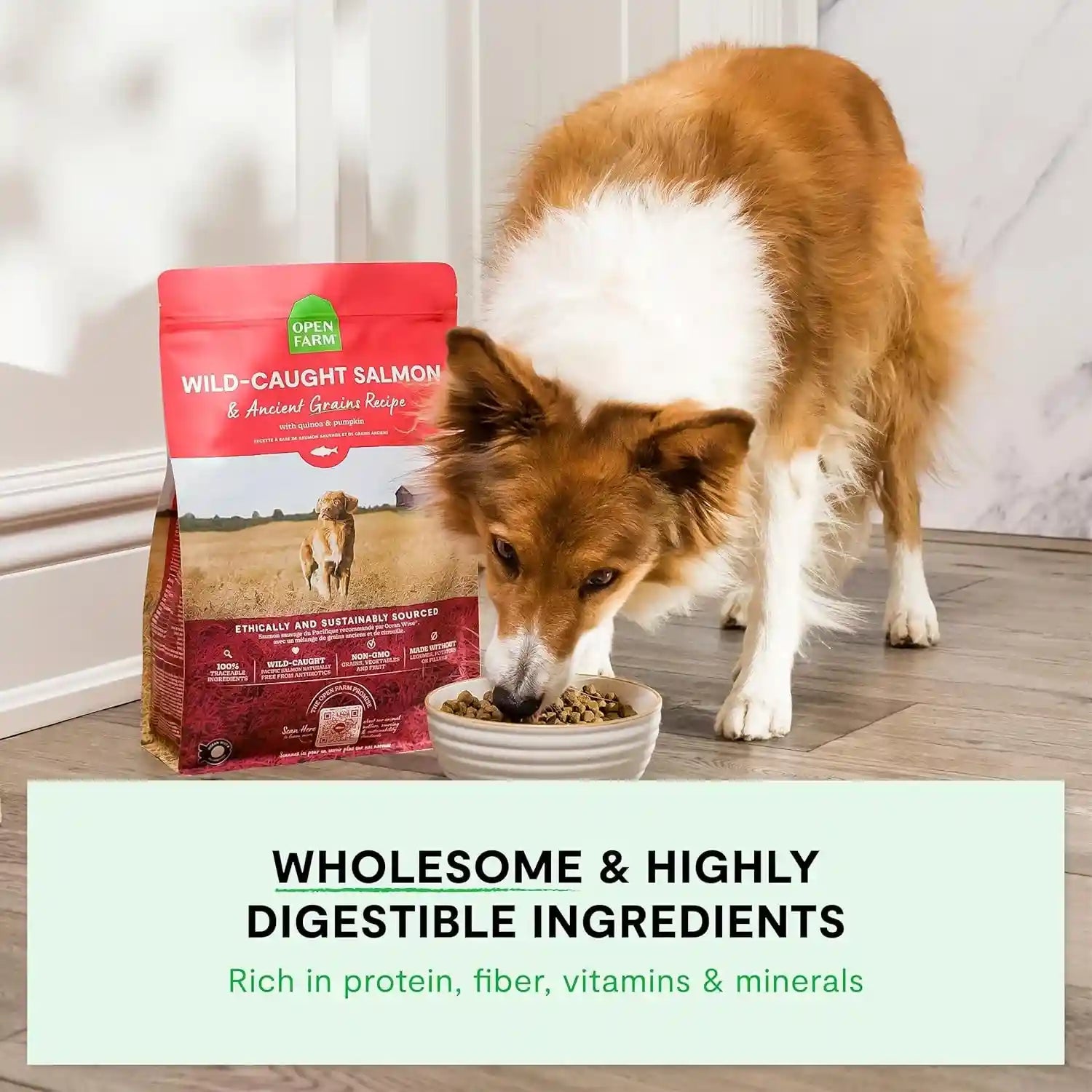 open-farm-ancient-grains-dry-dog-food-wild-caught-salmon-kibble-22lb-bag-all-life-stages-all-breed-sizes-protein-rich-nutrient-dense-100-traceable-ingredients-non-gmo-fruits-veggies