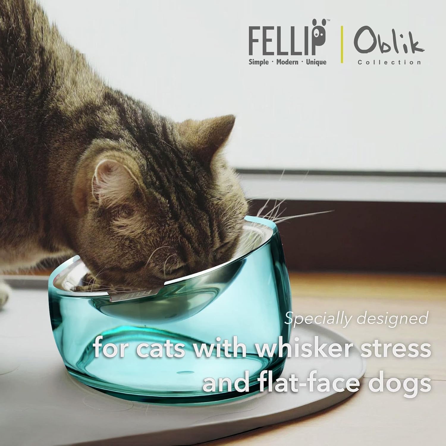 felli-oblik-elevated-cat-bowl-removable-stainless-steel-wide-dish-for-dry-wet-food-feeding-dishwasher-clean-slanted-whisker-fatigue-friendly-metal-plate-classic-0-5-cups-shallow-dish