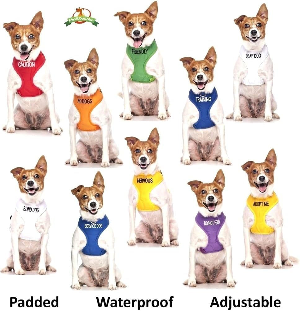 adopt-me-yellow-color-coded-l-xl-non-pull-dog-harness-new-home-needed-donate-to-your-local-charity