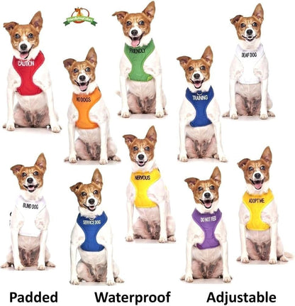 ADOPT ME Yellow Color Coded L-XL Non-Pull Dog Harness (New Home Needed) Donate to Your Local Charity8