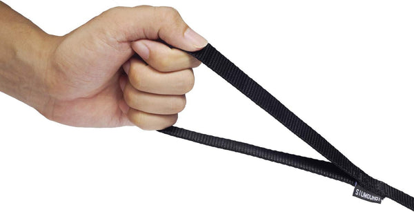 Strong Durable Nylon 10Ft Long Dog Training Leash, Traction Rope, 1 Inch Wide, for Small and Medium Dog (Black, 10 Feet)3