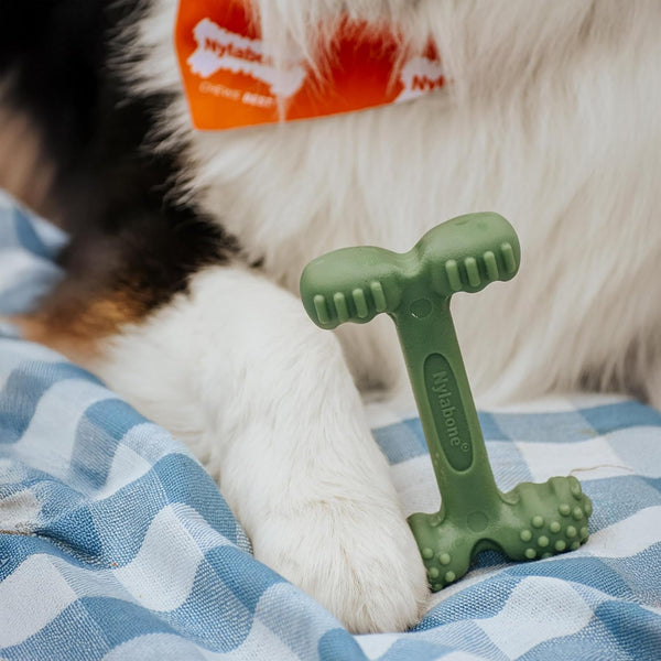Nylabone Power Chew Easy Hold Bone Dog Chew Toy, Bacon Flavor, Large | Teeth-Cleaning Textures, Easy to Hold, Durable Dog Toy for Aggressive Chewers up to 50 Lbs, Discourages Destructive Chewing2