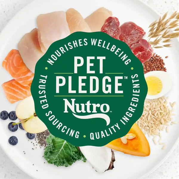 Nutro Ultra Toy Breed Adult Dry Dog Food, Chicken, Lamb & Salmon, 3.5 Lb | Protein Trio, Real Chicken #1 Ingredient, 14 Superfoods Blend, Non-Gmo, No Corn, Wheat or Soy, Radiant Coat Support13