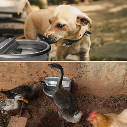 Automatic Dog Water Dispenser Large Size Dog Water Bowl Trough Stainless-Steel Outdoor Pet Waterer Feeder for Poultry, Goat, Small Livestock2
