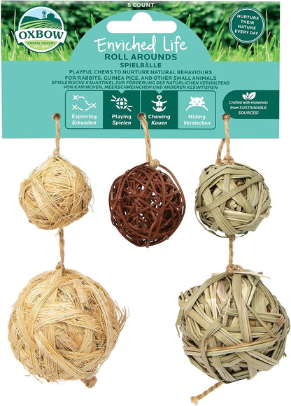 Oxbow Birthday Party Pack, Rabbit & Guinea Pig Toys, Bunny Enrichment Toys | Rabbit Chew Toys, Guinea Pig Enrichment, Guinea Pig Chew Toys, Rabbit Enrichment, Natural Materials, Small Pet Accessories11