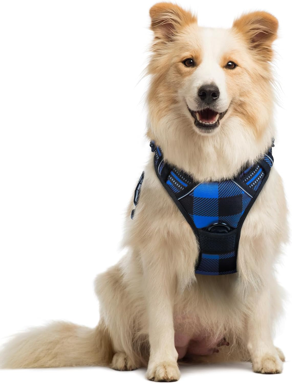rabbitgoo-dog-harness-no-pull-for-large-dogs-with-2-leash-clips-pet-vest-no-choke-with-handle-adjustable-soft-padded-reflective-easy-control-for-walking-black-large