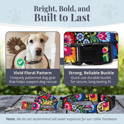 Lucky Love Dog - Easy Click Buckle Dog Collar with Leash Set Combo, Durable & Comfortable for Male & Female Dogs, Pet Collar for Medium Dogs, Secure Fit - Blackbird Combo, Medium3
