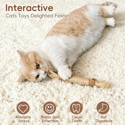 5 Pack Silvervine Sticks Cat Toys, Natural Chew Kitten Teething Toys for Cleaning, Matatabi Catnip Treat Toys, Catmint Silver Vine Sticks for Bored Indoor Kitty3