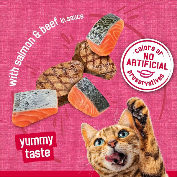 Purina Friskies Prime Filets with Salmon and Beef in Sauce High Protein Wet Cat Food - (Pack of 24) 5.5 Oz. Cans5