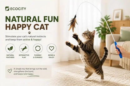 Cat Toys - No Chemical Dyeing Cat Feather Toys for Indoor Cats - Include Cat Wand and Natural Feather Refills4