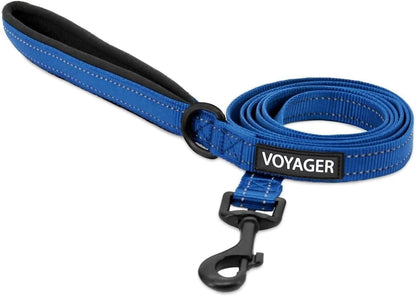 Best Pet Supplies Voyager Nylon Dog Leash - Fuchsia, Small | 5Ft in Length, 5/8" in Width, Reflective, Soft Neoprene Handle, Heavy Duty Metal Clips for Running, Walking & Training11