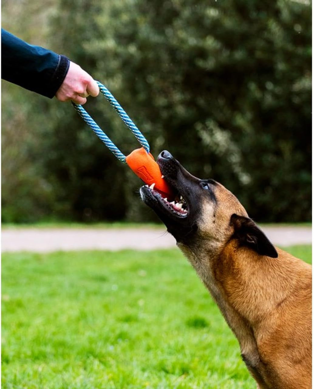 chuckit-ultra-bumper-tug-dog-toy-orange-medium