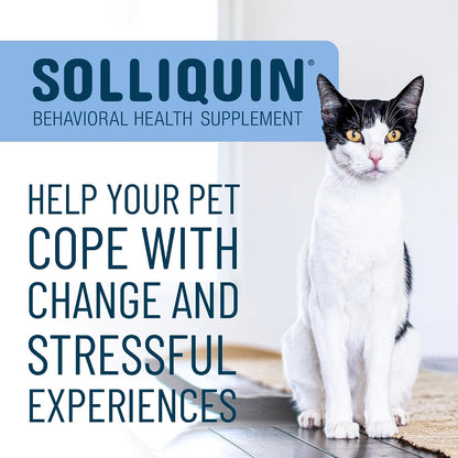 Nutramax Solliquin Cat & Small Dog Calming Support, Soft Chews, 75Ct3