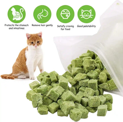 60G Cat Grass Treats for Indoor Cats, Freezed Dried Cat Grass Teething Stick Snacks for Cats, Edible Feline Chew Toys for Hairball Control and Oral Health3