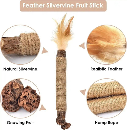 Bissap 10 PCS Silvervine Chew Sticks for Cats, Catnip Chew Sticks Cat Toys for Indoor Cat Kitten Teeth Grinding Interactive Feather Toys for Aggressive Chewers Dental Care4