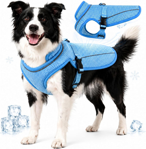 Dog Cooling Vest, Evaporative Cooling Dog Jacket with UV Protection, Lightweight Breathable Mesh Dog Cooling Shirt, Summer Heat Relief Gear with Adjustable Buckles for Hot Weather Walking & Hiking9