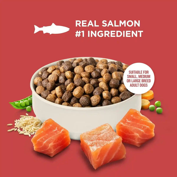 Nutrish Salmon Dry Dog Food, 26 Lb. Bag (Rachael Ray) | Complete & Balanced Nutrition for Small, Medium and Large Breed Adult Dogs, Veterinarian Reviewed Formula4